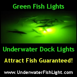Crystal River underwater fishing lights for sale.  Wether fishing from a dock or off the yard these lights will attract fish in the Crystal River area.  Find yours now for sale at crystalriver4sale.com