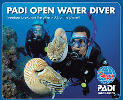 Padi image 1